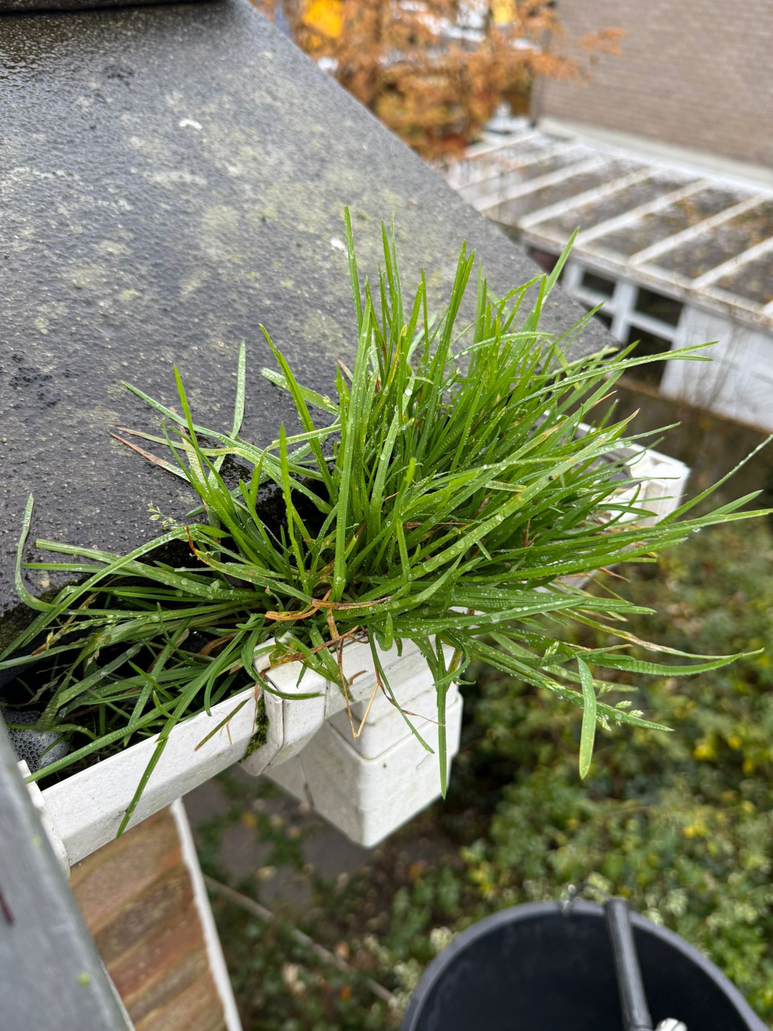 Blocked gutter downpipe in Abbots Langley
